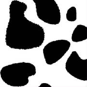 webassets/BlackCowTissuePaper.jpg
