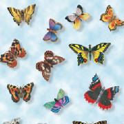 webassets/ButterFlyTissuePaper.jpg