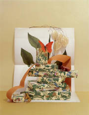 webassets/PaperJewelryBox-Tropical.jpg