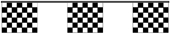webassets/Merch-CheckeredPennant-52600608.jpg
